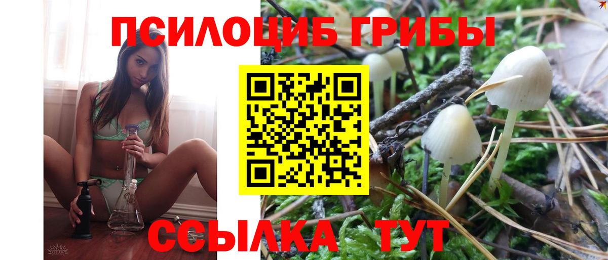 Арсеньев  Галлюциногенные грибы Psilocybe  Вход с VPN 